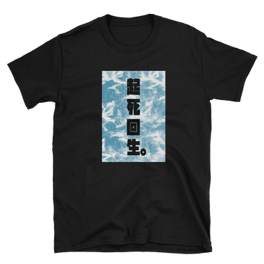 Kishi Kaisei Tee