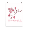 Cherry Blossom Poster